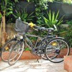 2 bici a disposizione (gratis)